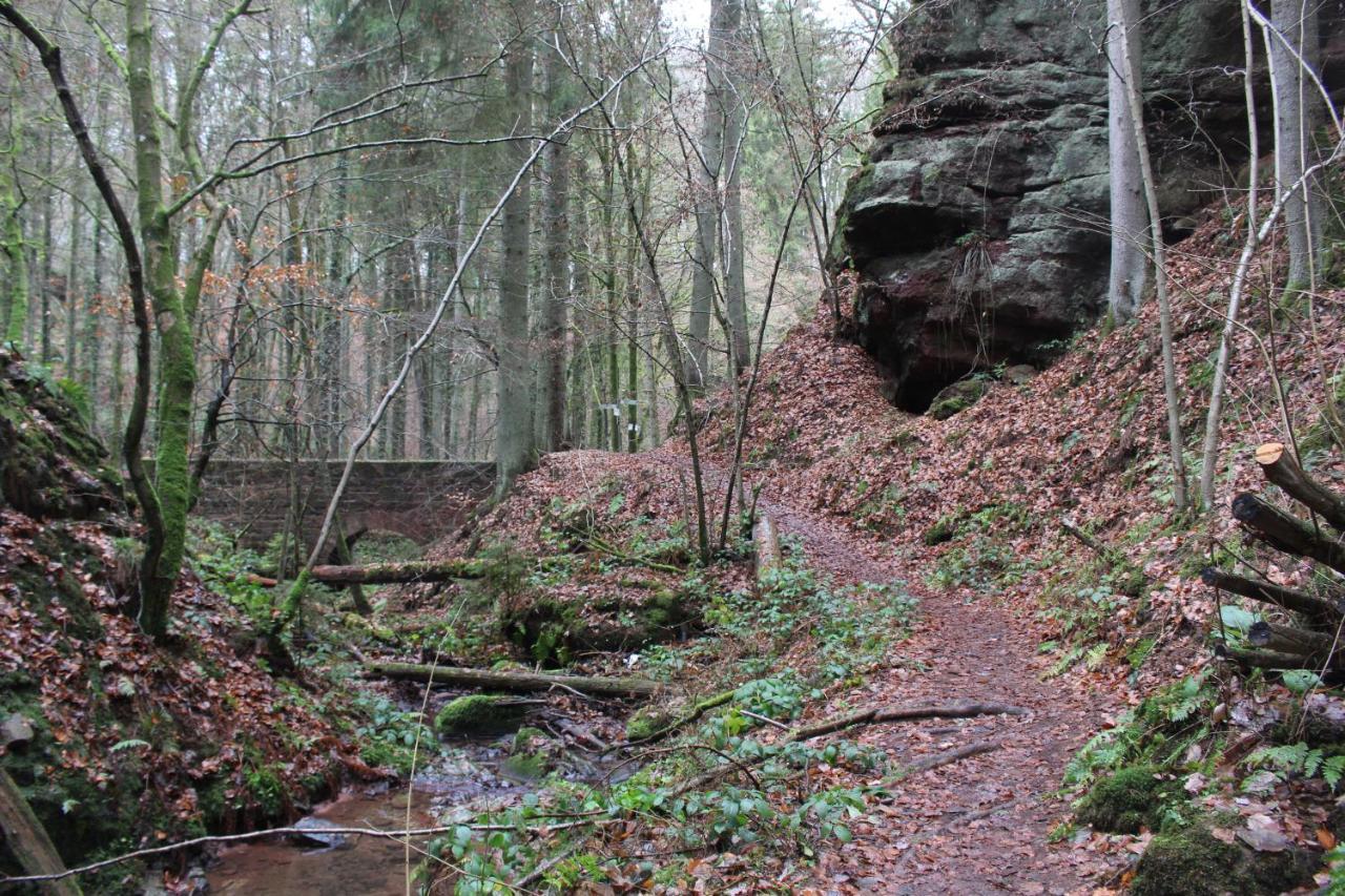 Gaestehaus Herrenmuehle Freudenburg  Dış mekan fotoğraf